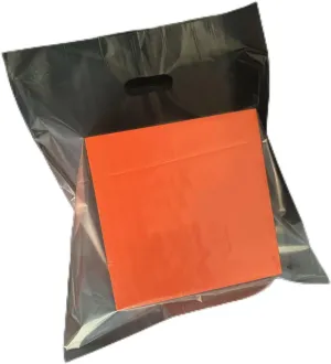 100 Pack 16"x16" Clear Plastic Shopping Bags with Handles,2 Mil Thick Clear Merchandise Plastic Shopping Bags -Die Cut Handles Retail Bags,Trade Show, Party Favors & Multiple Occasions(No Gusset)