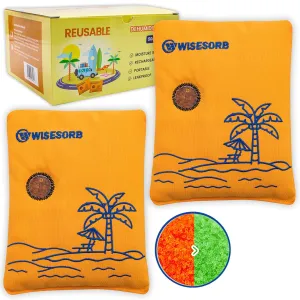 500g 2pcs Rechargeable Car Dehumidifier Moisture Absorbers Bags, Reusable Desiccant Color Indicating Silica Gel Packets, Microwave Reactivated Visible Desiccant Packs for Car Closet Basement