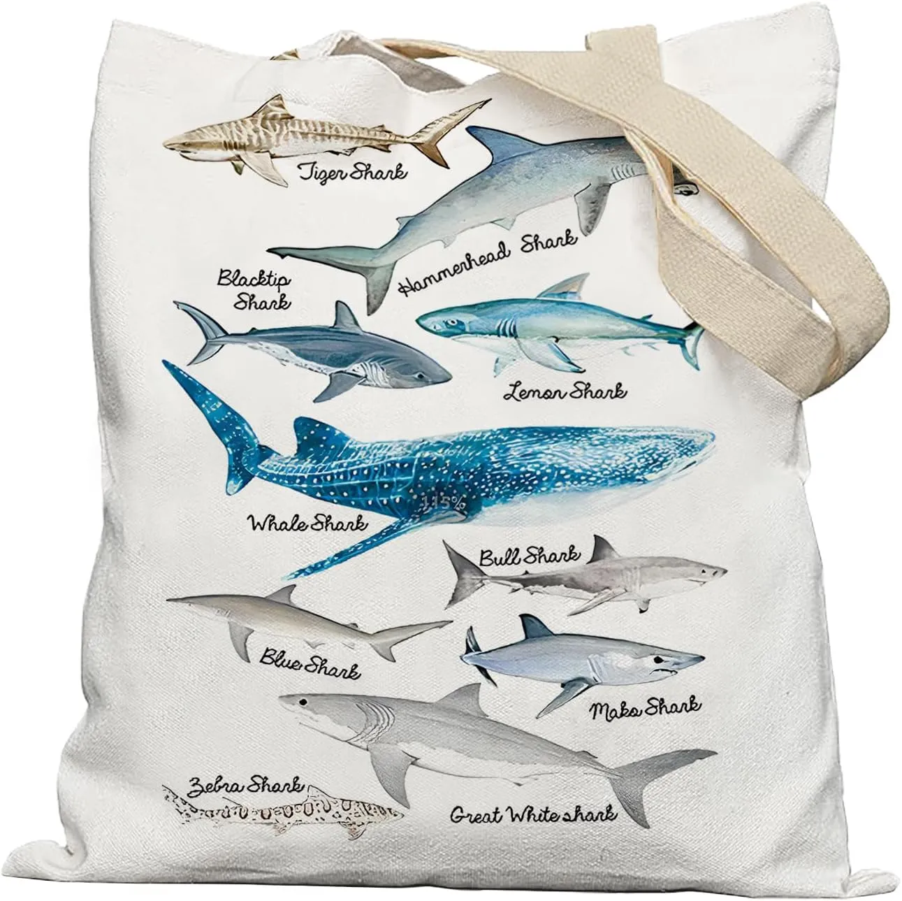 Beach Tote Bag, Species of Sharks Canvas Tote Bags for Women, Shark Gifts for Lovers Women, Reusable Grocery Shopping Bags, White