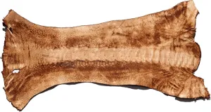 Buckleguy.com Ostrich Leg, Exotic Leather