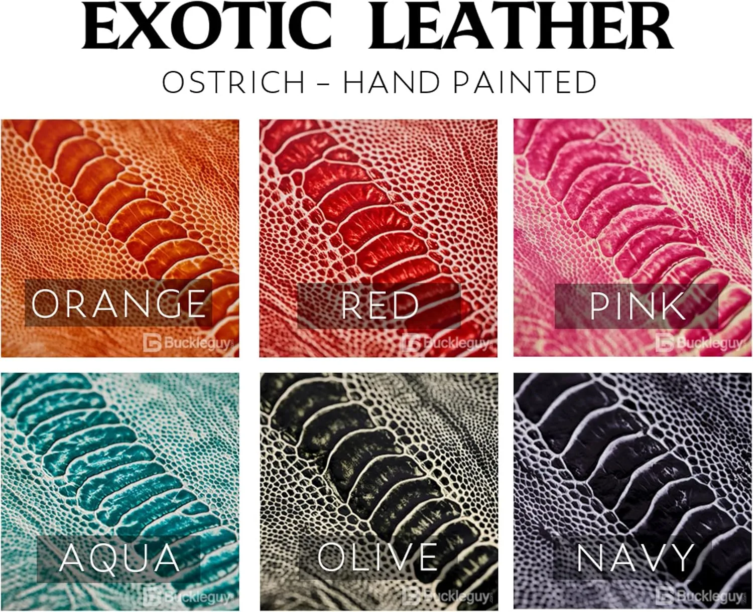 Buckleguy.com Ostrich Leg, Exotic Leather