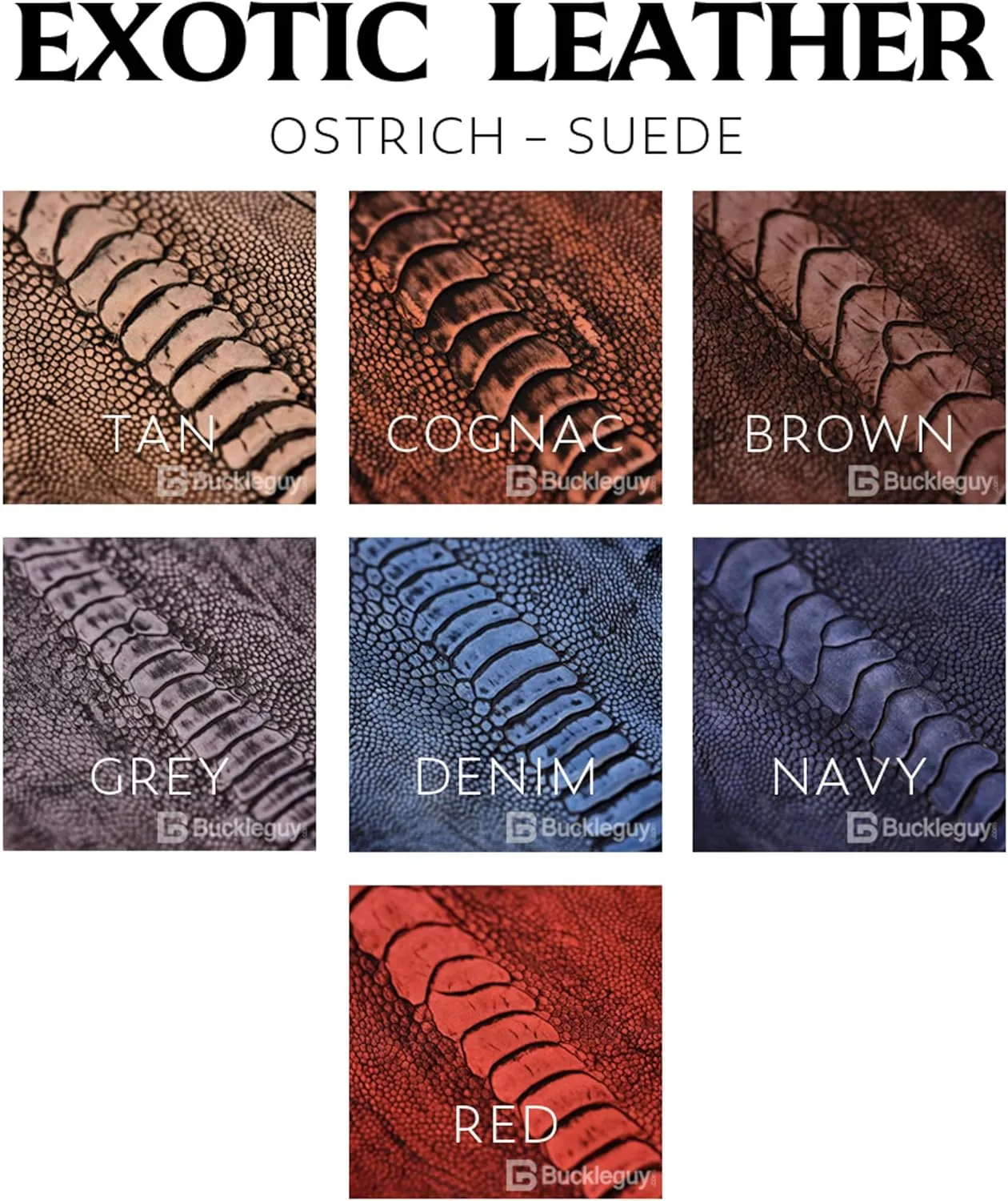 Buckleguy.com Ostrich Leg, Exotic Leather