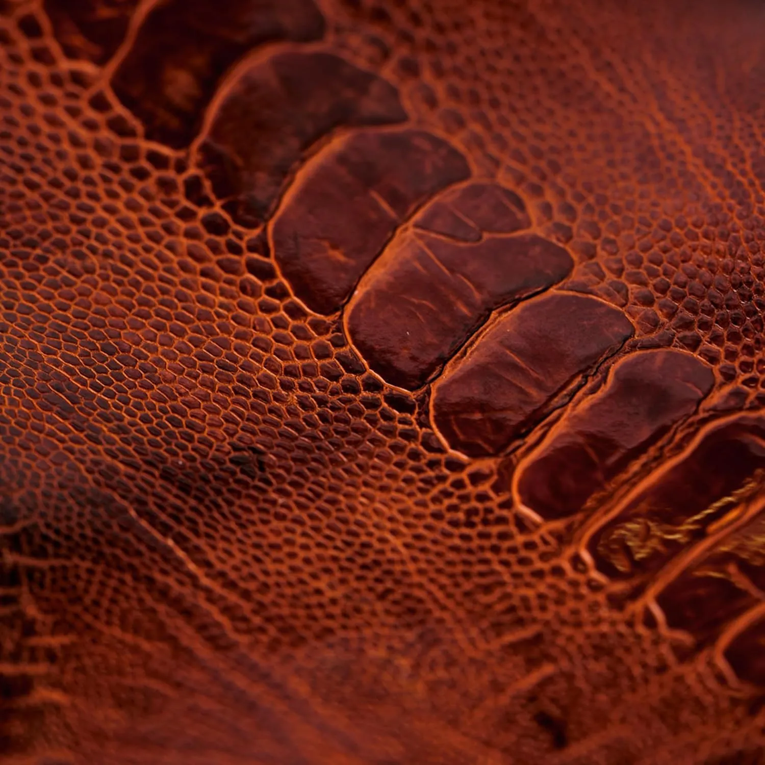 Buckleguy.com Ostrich Leg, Exotic Leather