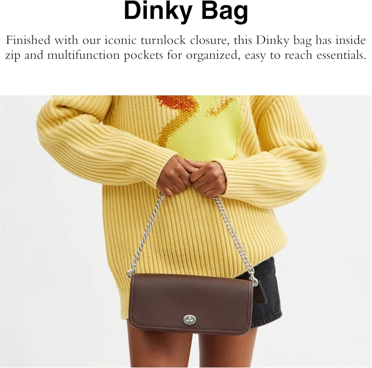 COACH Dinky Bag