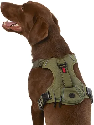 KONG Ultra Durable Waste Bag Harness (XL, Green)