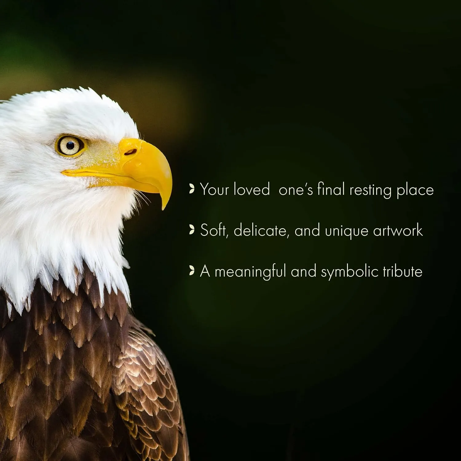 Majestic Eagle Cremation Urn for Ashes Adult Male - Beautifully Handcrafted & Personalized Cremation Urns for Human Ashes Adult Man
