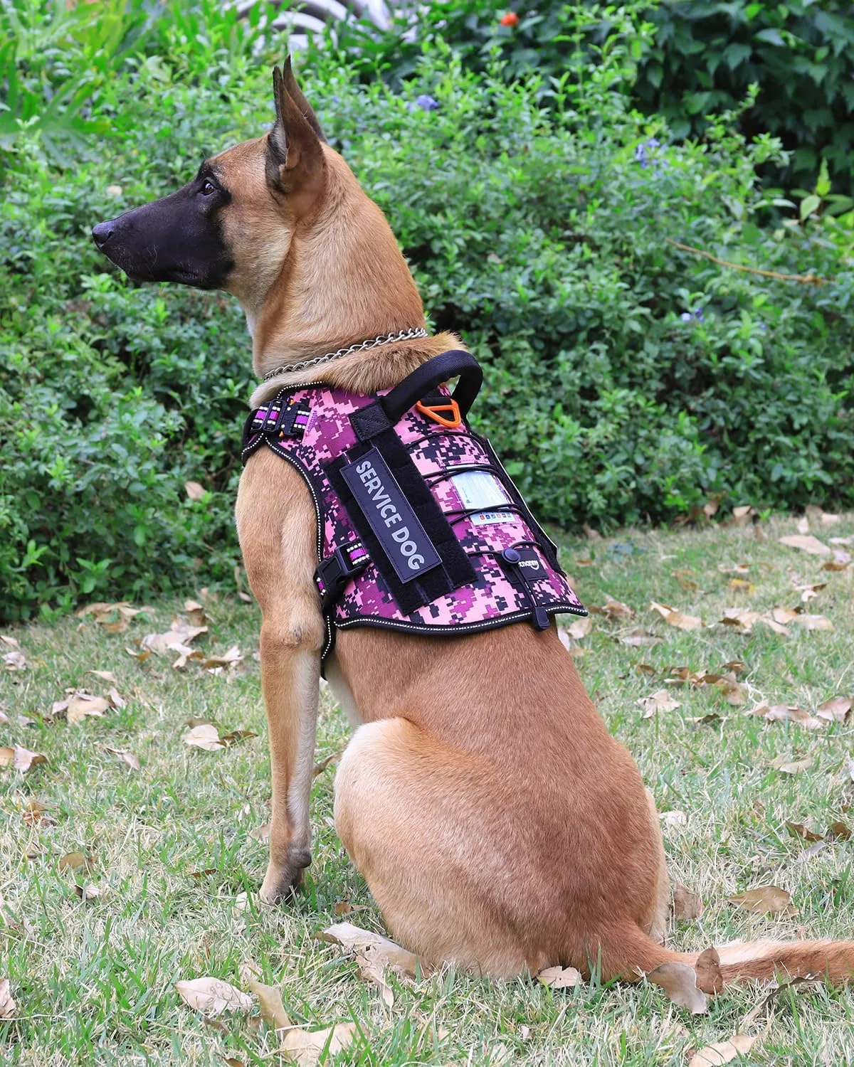 PETNANNY Tactical Dog Harness Reflective with ID Card,Service Dog Vest Harness for Medium Large Dogs,Emotional Support Vest with Padded Handle，2 Reflective Patches for Training Hunting（Purple Camo,L）