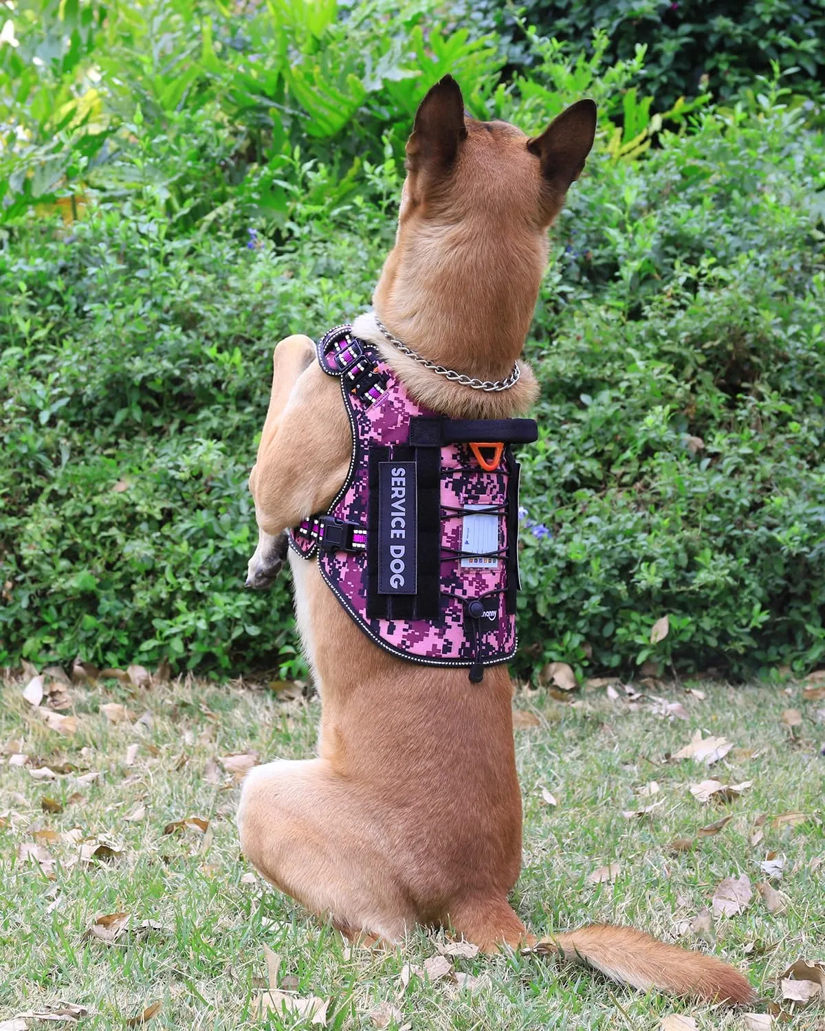 PETNANNY Tactical Dog Harness Reflective with ID Card,Service Dog Vest Harness for Medium Large Dogs,Emotional Support Vest with Padded Handle，2 Reflective Patches for Training Hunting（Purple Camo,L）