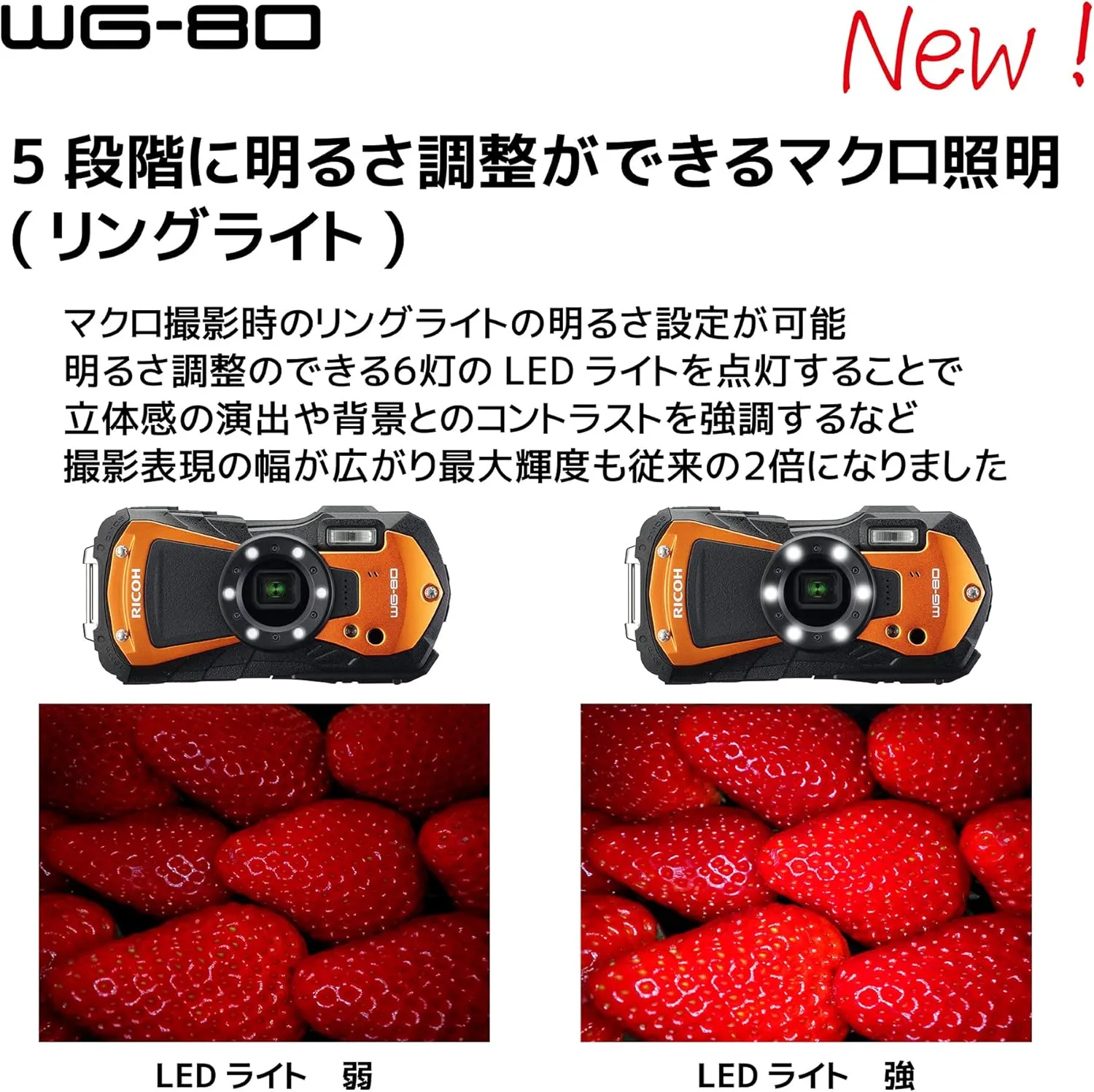 Ricoh WG-80 Black Waterproof Digital Camera Shockproof Freezeproof Crushproof (International Version)