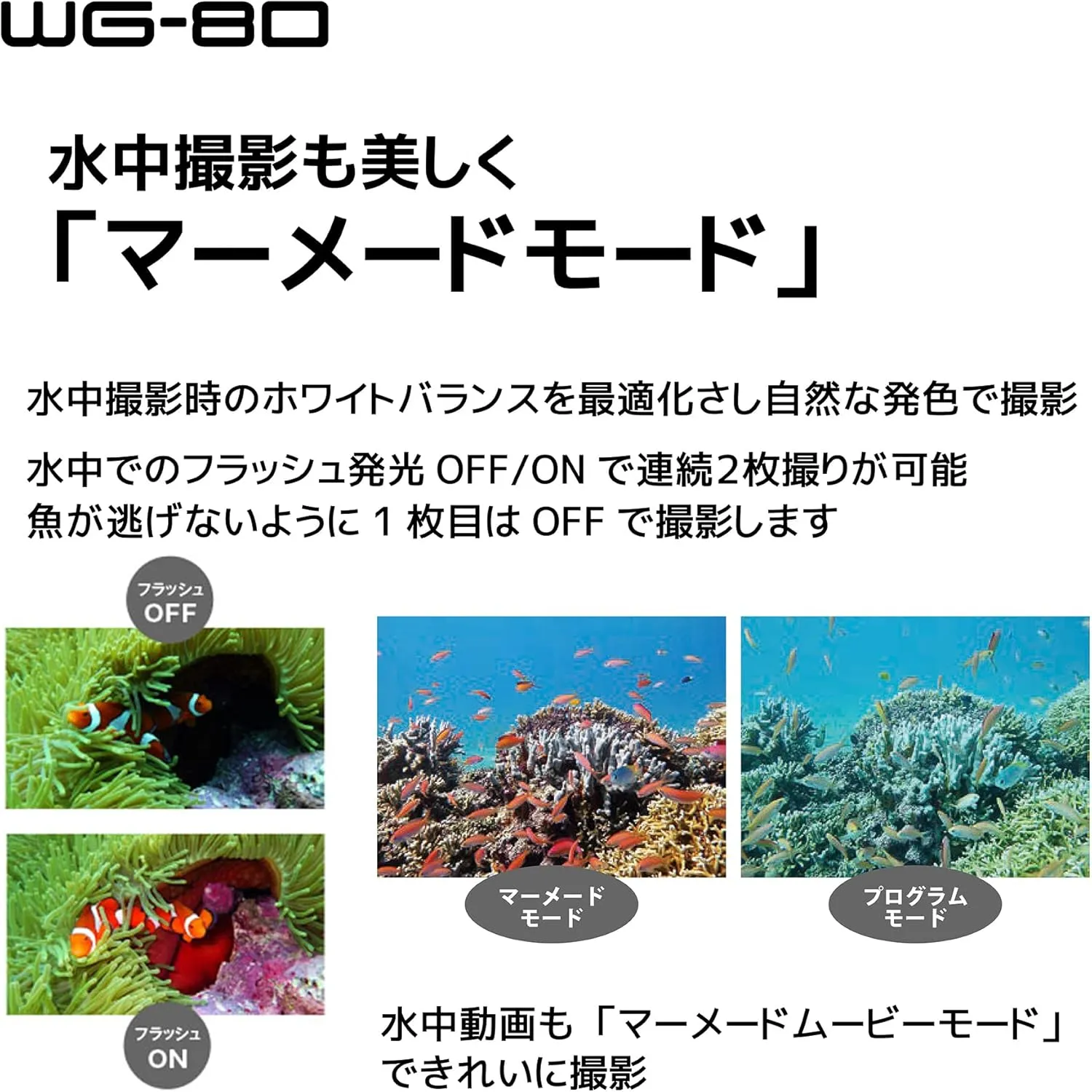 Ricoh WG-80 Black Waterproof Digital Camera Shockproof Freezeproof Crushproof (International Version)