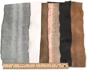 Snake Skin Snakeskin Pieces; Grab Bag! Assorted Colors, 6 Feet, 6 Pieces