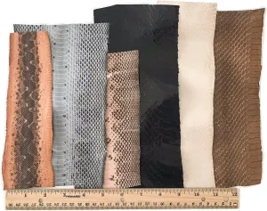 Snake Skin Snakeskin Pieces; Grab Bag! Assorted Colors, 72 inches