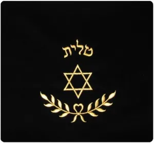 Star of David and Branch of Leaves in Gold Threading Velvet Tallit/Tefillin Bag