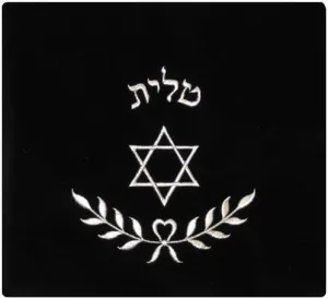 Star of David and Branch of Leaves in Silver Threading Velvet Tallit/Tefillin Bag