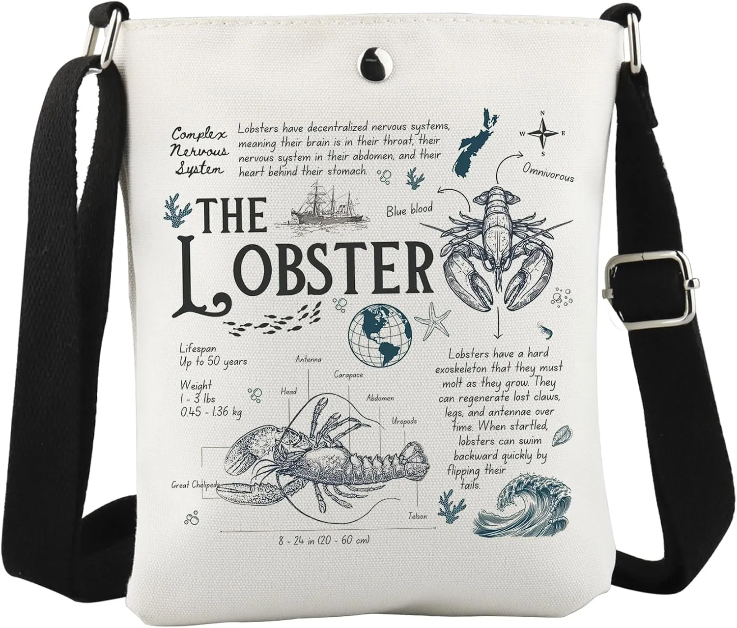 WCGXKO Lobster Biology Facts Crossbody Bag Fishermen Aesthetic Gift Lobster Gift Beach Vibe Gift for Lobster Lover