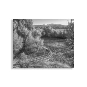 Wetlands Landscape Photograph in Dreamy Black and White with Grasslands Nature Trail